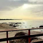 Coral La Cala *