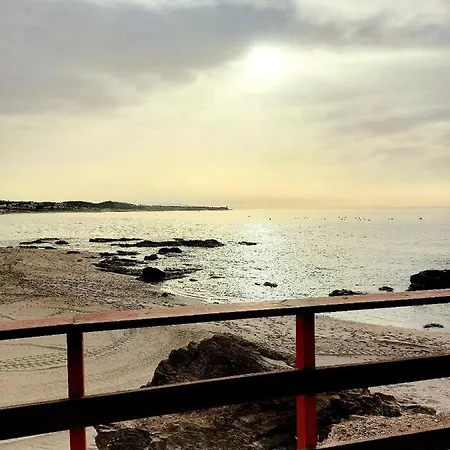 Coral La Cala *